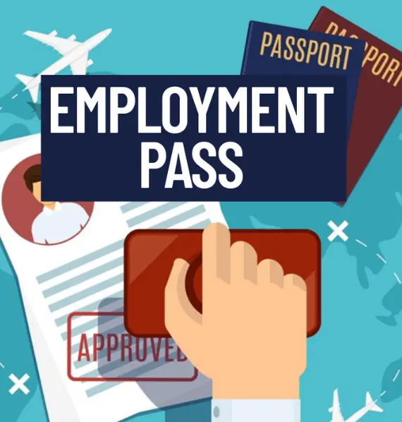 Consultant assisting client with Professional Visit Pass application