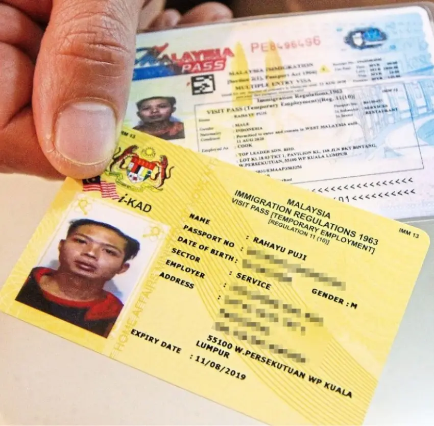 Foreign professional receiving Employment Pass in Malaysia